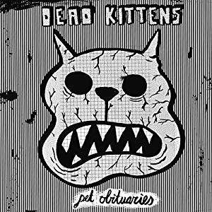 Pet Obituaries (Black Vinyl / Poster/mp3) - Dead Kittens - Music - NOISOLUTION - 4051579006517 - February 2, 2018