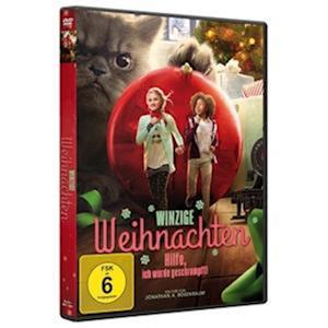 Cover for Weihnachtsfilm · Winzige Weihnachten - Hilfe,ich Wurde Geschrumpft (DVD) (2023)