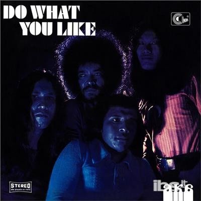 Cover for Aka · Do What You Like (CD) (2014)