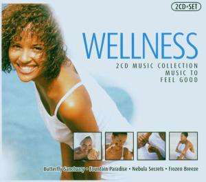 Cover for Wellness (CD) (2017)
