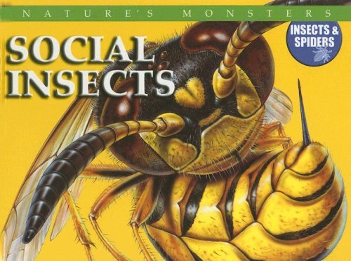 Cover for Chris Mcnab · Social Insects (Nature's Monsters: Insects &amp; Spiders) (Gebundenes Buch) (2006)