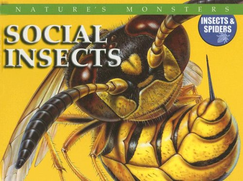 Cover for Chris Mcnab · Social Insects (Nature's Monsters: Insects &amp; Spiders) (Hardcover Book) (2006)