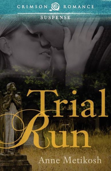 Cover for Anne Metikosh · Trial Run (Paperback Book) (2012)