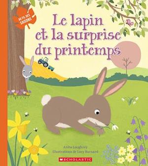 Cover for Anita Loughrey · Au Fil Des Saisons: Le Lapin Et La Surprise Du Printemps (Paperback Book) (2021)