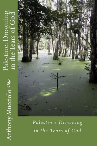 Cover for Rev Anthony J Mucciolo Dd · Palestine: Drowning in the Tears of God (Paperback Book) (2013)