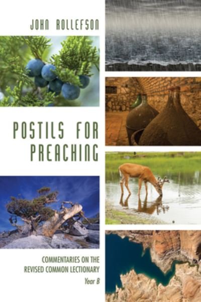 Cover for John Rollefson · Postils for Preaching (Book) (2016)