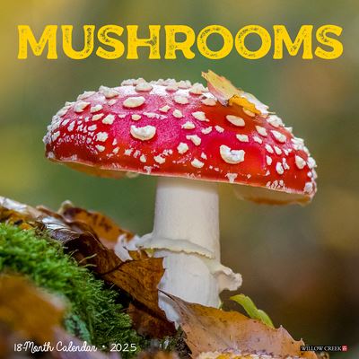 Cover for Willow Creek Press · Mushroom (the Art of The) 2025 12 X 12 Wall Calendar (Calendar) (2024)