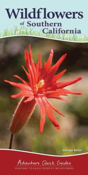 Cover for George Oxford Miller · Wildflowers of Southern California: Your Way to Easily Identify Wildflowers - Adventure Quick Guides (Spiral Book) (2017)