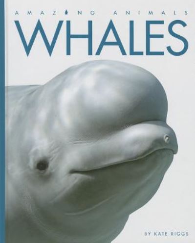 Cover for Kate Riggs · Whales (Amazing Animals (Creative Education Hardcover)) (Hardcover Book) (2014)