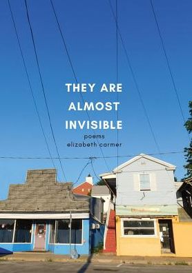 Cover for Elizabeth Carmer · They Are Almost Invisible (Paperback Book) (2019)