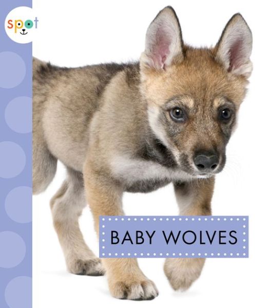 Cover for K.C. Kelley · Baby Wolves (Paperback Book) (2018)