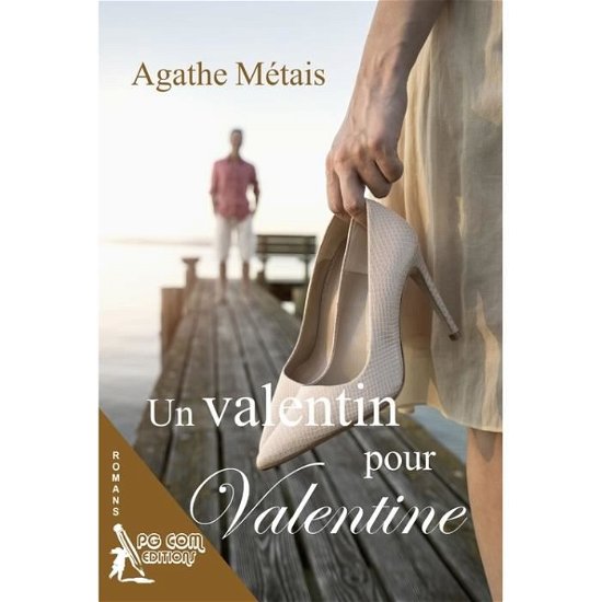 Cover for Agathe Metais · Un Valentin pour Valentine (Paperback Book) (2017)