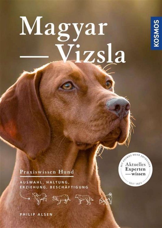 Cover for Alsen · Magyar Vizsla (Bok)