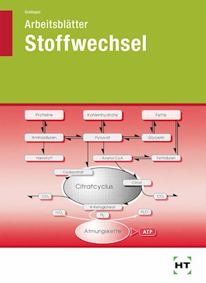 Arb.Stoffw.z.Grundfr.Ern - Schlieper - Książki -  - 9783582447517 - 