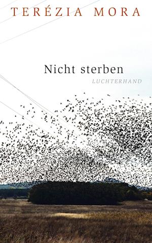 Cover for Terezia Mora · Nicht sterben (Hardcover Book) (2015)