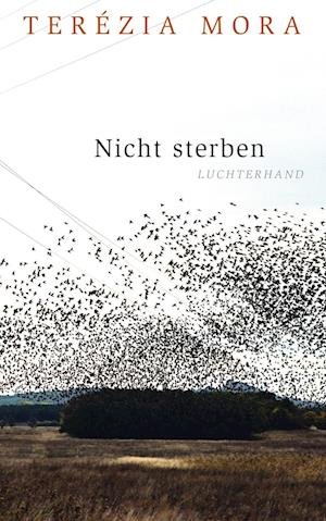 Cover for Terezia Mora · Nicht sterben (Innbunden bok) (2015)