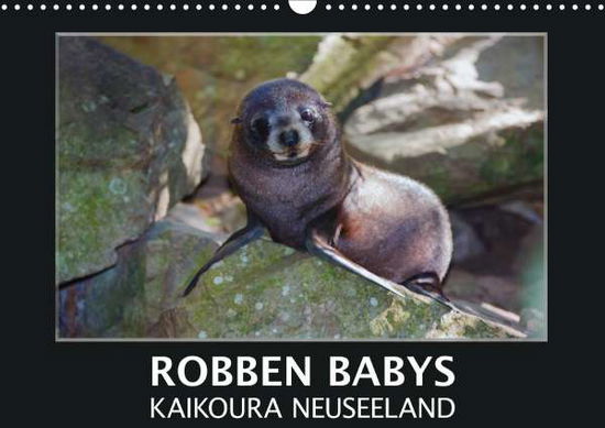 Cover for Bort · Robben Babys - Kaikoura Neuseeland (Book)