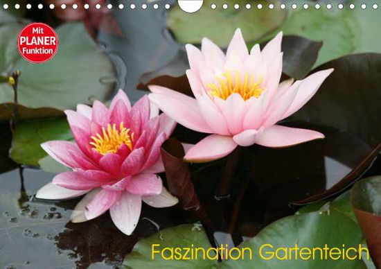 Cover for Rickert · Faszination Gartenteich (Wandka (Book)