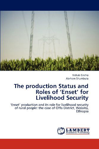 Cover for Abrham Shumbulo · The Production Status and Roles of 'enset' for Livelihood Security: 'enset' Production and Its Role for Livelihood Security of Rural People: the Case of Offa District, Wolaita, Ethiopia (Paperback Book) (2012)