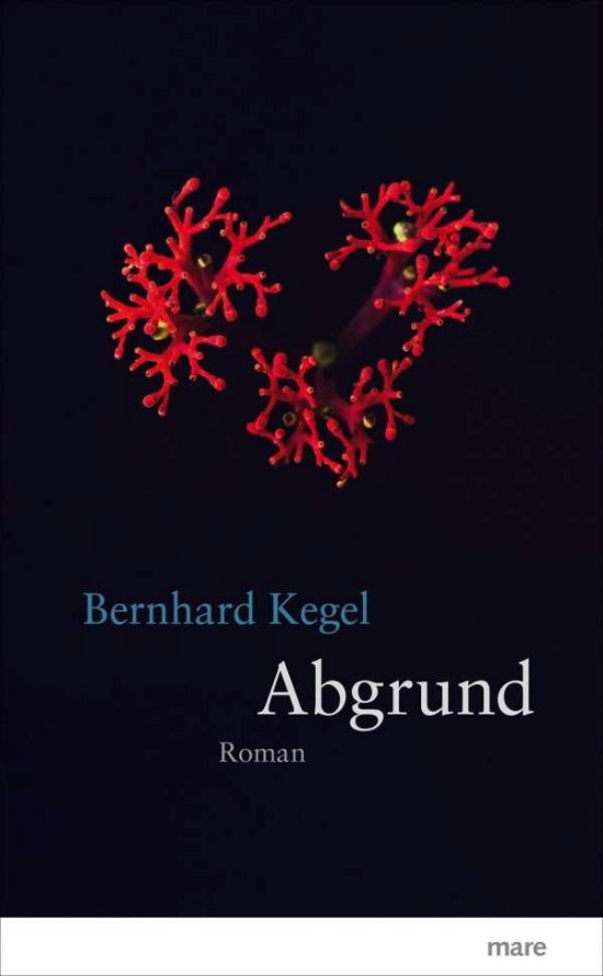 Cover for Kegel · Abgrund (Book)