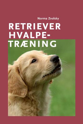 Retriever hvalpetræning - Norma Zvolsky - Kirjat - Atelier - 9788778575517 - keskiviikko 1. lokakuuta 2008