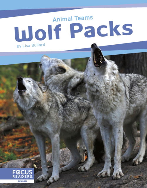 Cover for Lisa Bullard · Animal Teams: Wolf Packs (Paperback Bog) (2024)