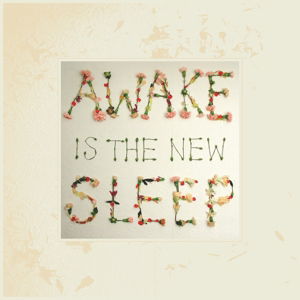 Awake Is The New Sleep - Ben Lee - Musiikki - NEW WEST RECORDS, INC. - 0607396511518 - lauantai 16. huhtikuuta 2016