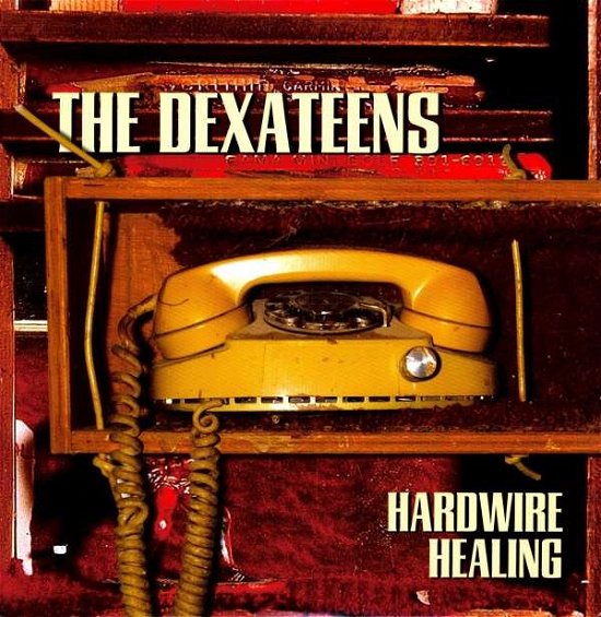 Cover for Dexateens · Hardwire Healing (LP) (2007)