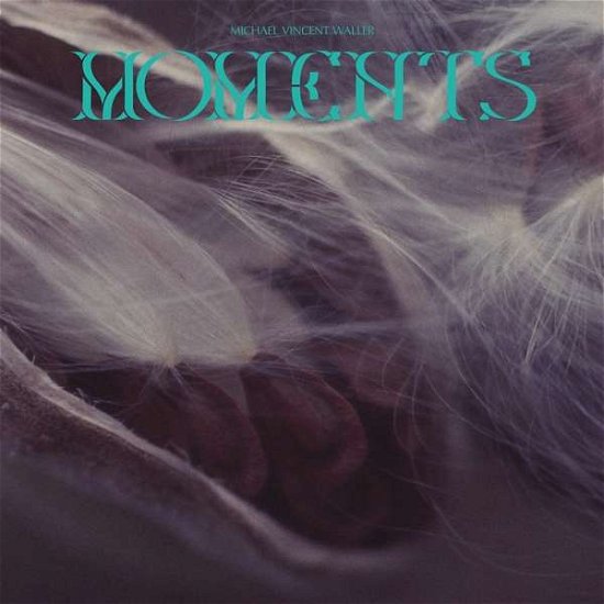 Cover for Michael Vincent Waller · Moments (LP) (2019)
