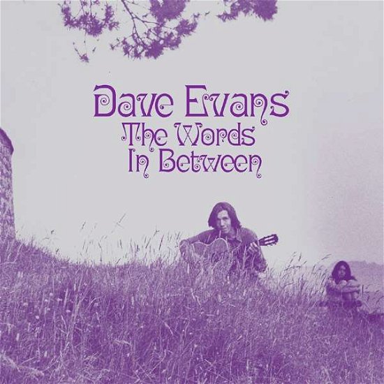 Cover for Dave Evans · The Words in Between (LP) (2018)