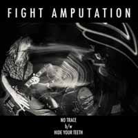 Cover for Fight Amputation · Keystone Noise Series 4 (7&quot;) (2015)