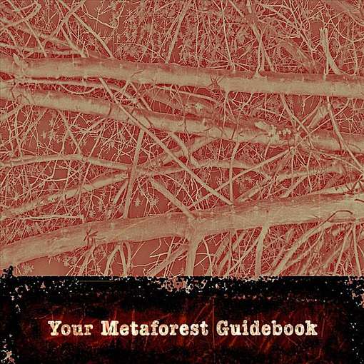 Cover for Anna Joy Springer · Your Metaforest Guidebook (CD) (2011)