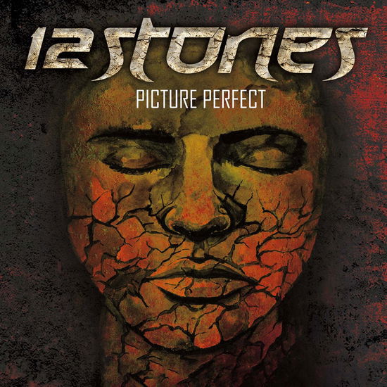 Cover for 12 Stones · Picture Perfect (LP) (2024)