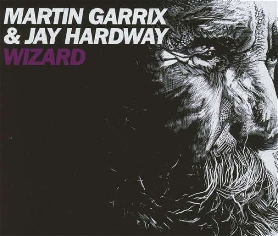 Wizard - Garrix, Martin & Jay Hard - Muziek - KONTOR - 4250117639518 - 14 februari 2014