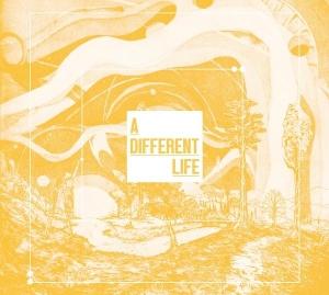 Cover for Catt · A Different Life (CD) (2025)