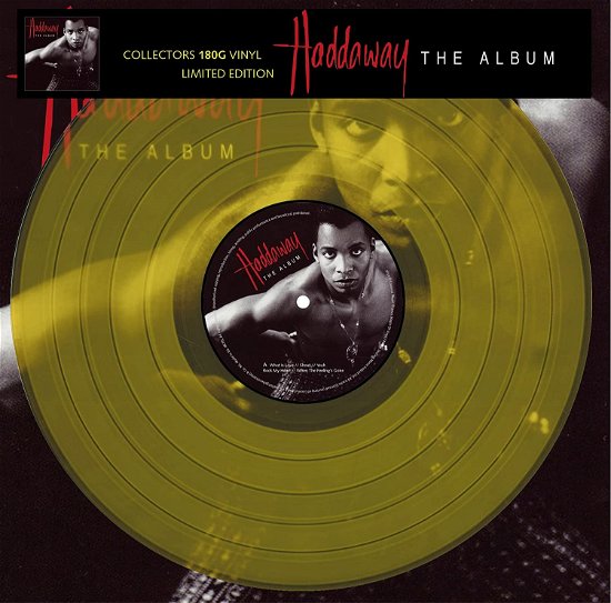 Cover for Haddaway · Album (LP) (2022)