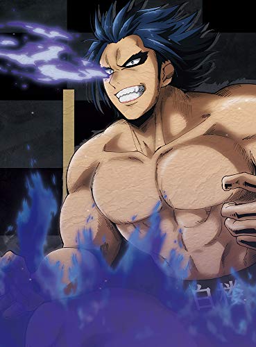 Cover for Kawada · TV Anime[hinomaru Zumou] 4 (MBD) [Japan Import edition] (2019)