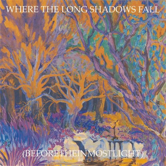 The Long Shadow Falls - Current 93 - Musik - DIRTER PROMOTIONS - 5064461275518 - 28. Juni 2024