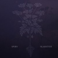 Skarntyde - Spurv - Music - PHD MUSIC - 7041889508518 - February 7, 2020