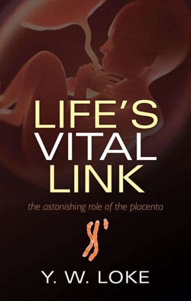 Cover for Loke, Y.W. (Emeritus Professor of Reproductive Immunology, University of Cambridge and Fellow of King's College, Cambridge) · Life's Vital Link: The astonishing role of the placenta (Hardcover Book) (2013)