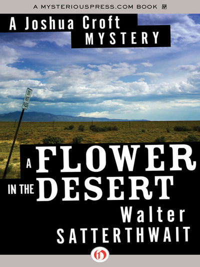 Cover for Walter Satterthwait · A flower in the desert (Book) [1st edition] (1992)