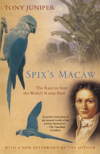 Cover for Tony Juniper · Spix's Macaw: the Race to Save the World's Rarest Bird (Paperback Bog) (2004)