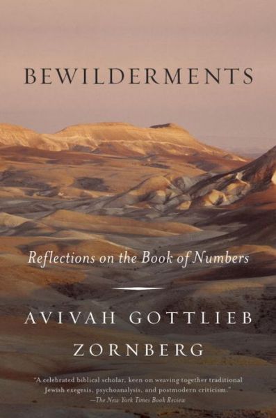 Cover for Avivah Gottlieb Zornberg · Bewilderments: Reflections on the Book of Numbers (Paperback Book) (2017)