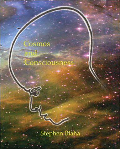 Cover for Stephen Blaha · Cosmos and Consciousness: Quantum Computers, Superstrings, Programming, Egypt, Quarks, Mind Body Problem, and Turing Machines (Taschenbuch) (2002)