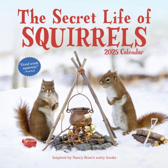 Nancy Rose · The Secret Life of Squirrels Wall Calendar 2025 (Calendar) (2024)