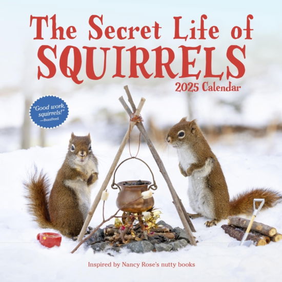 Cover for Nancy Rose · The Secret Life of Squirrels Wall Calendar 2025 (Calendar) (2024)