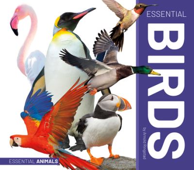 Essential Birds - Arnold Ringstad - Other - ABDO Publishing Company - 9781532195518 - December 15, 2021