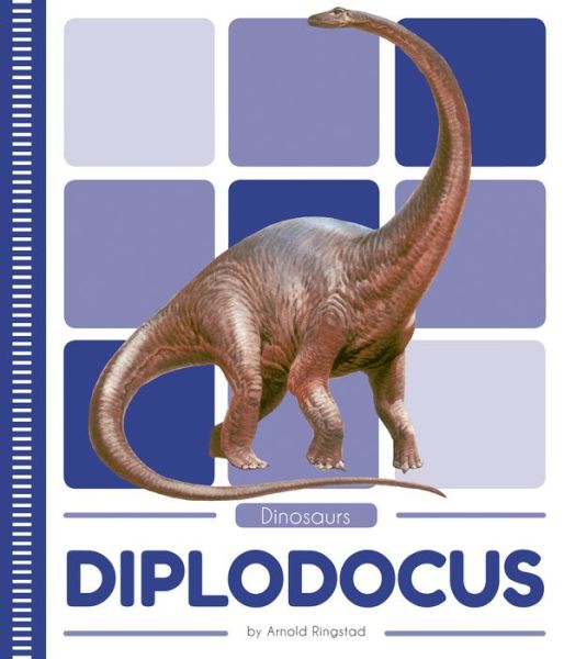 Cover for Arnold Ringstad · Diplodocus - Dinosaurs (Paperback Book) (2019)