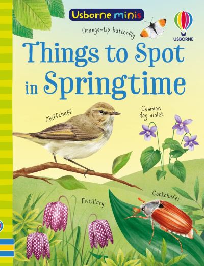 Cover for Kate Nolan · Things to Spot in Springtime - Usborne Minis (Paperback Book) (2025)