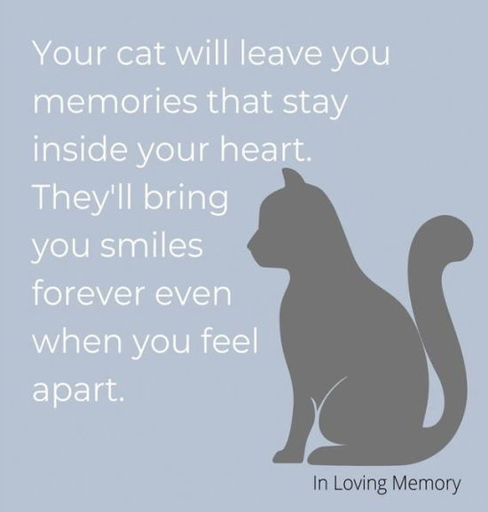 Condolence book for cats (hardback cover) - Lulu and Bell - Books - Lulu and Bell - 9781839900518 - May 11, 2020